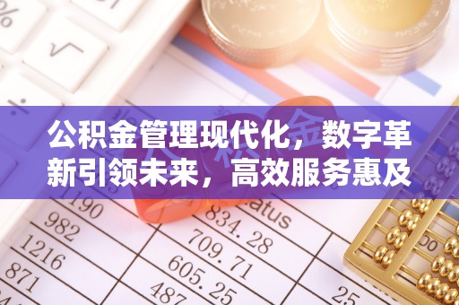 琼海公积金管理现代化，数字革新引领未来，高效服务惠及民生