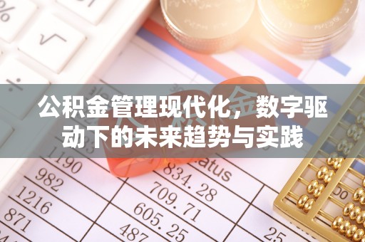 琼海公积金管理现代化，数字驱动下的未来趋势与实践