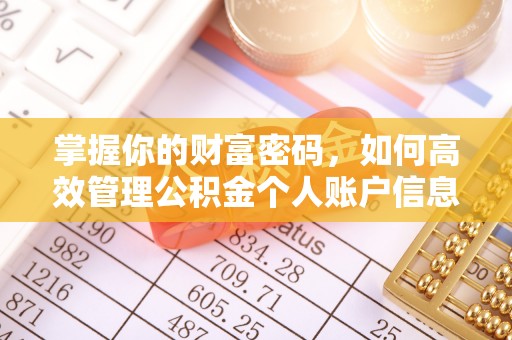 琼海掌握你的财富密码，如何高效管理公积金个人账户信息