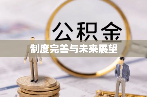 琼海制度完善与未来展望