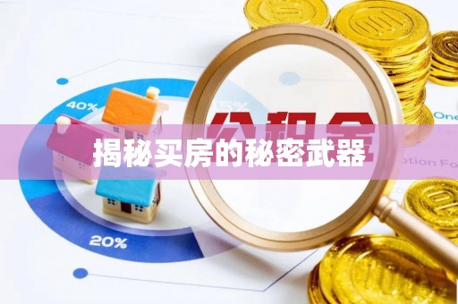 琼海揭秘买房的秘密武器
