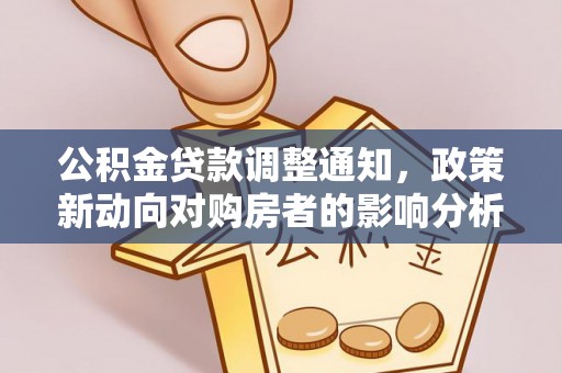 琼海公积金贷款调整通知，政策新动向对购房者的影响分析