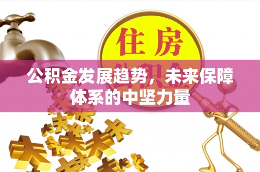 琼海公积金发展趋势，未来保障体系的中坚力量