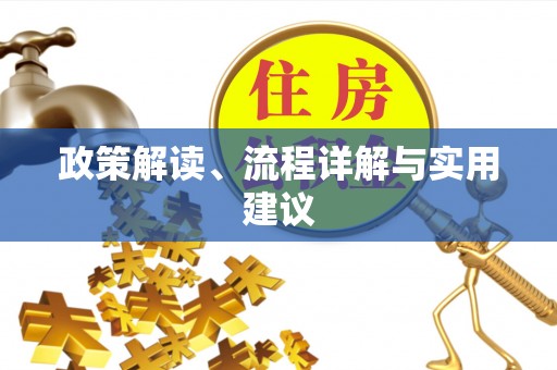 琼海政策解读、流程详解与实用建议