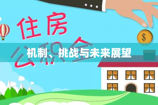 琼海机制、挑战与未来展望